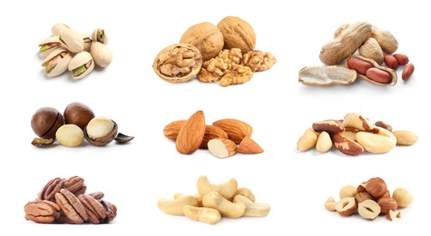 Image of Collage with piles of different nuts on white background. Source of nutrients