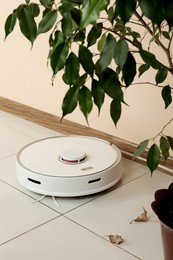 Photo of Robotic vacuum cleaner and fallen yellow leaves near houseplant indoors