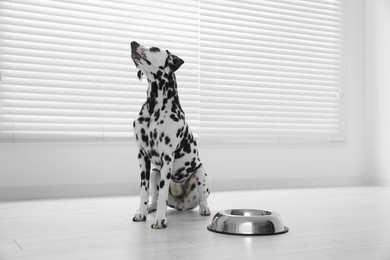 Photo of Adorable Dalmatian dog and feeding bowl indoors