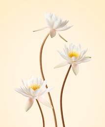 Image of Beautiful lotus flowers with long stems on beige background