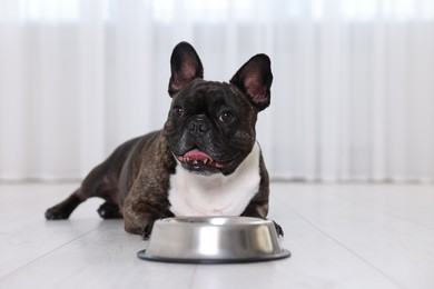 Photo of Adorable French Bulldog near bowl indoors. Lovely pet