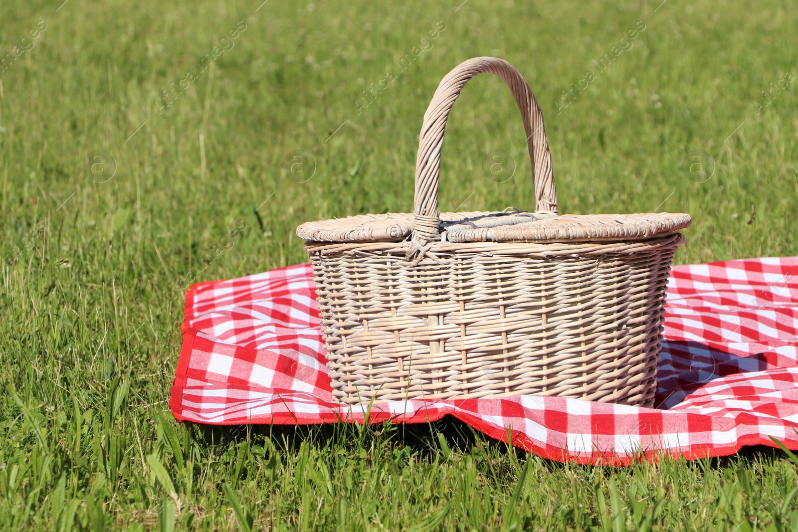 Photo of Picnic basket with checkered tablecloth on green grass outdoors, space for text