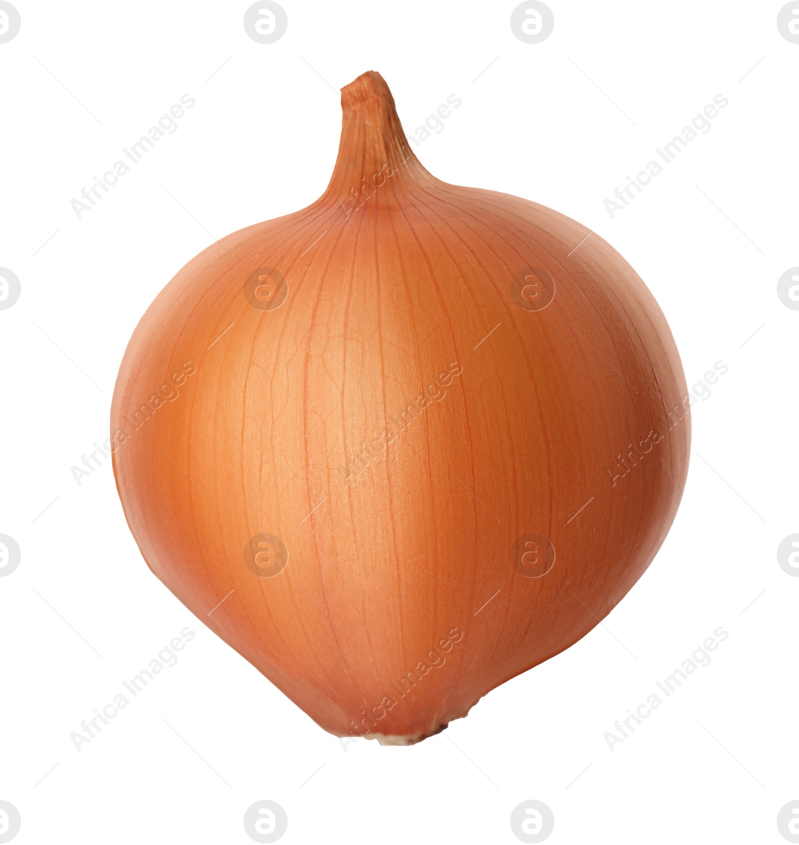 Photo of One ripe onion bulb isolated on white