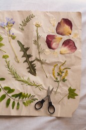 Sheet of paper with dried flowers and leaves on white fabric, top view