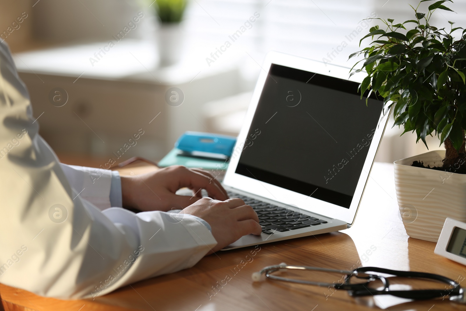 Photo of Professional doctor working on laptop in office, closeup