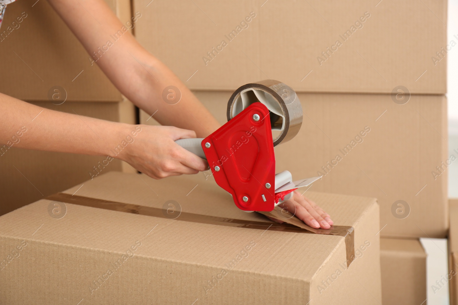 Photo of Woman packing carton box indoors, closeup. Moving day