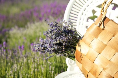 Photo of Chair with wicker bag of beautiful lavender flowers in field on sunny day, closeup and space for text