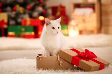Cute white cat in Christmas gift box indoors. Adorable pet
