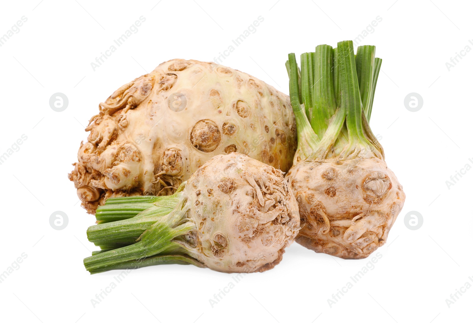 Photo of Many raw celery roots isolated on white