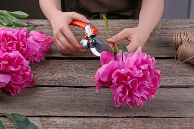 Woman trimming beautiful pink peonies with secateurs at wooden table, closeup