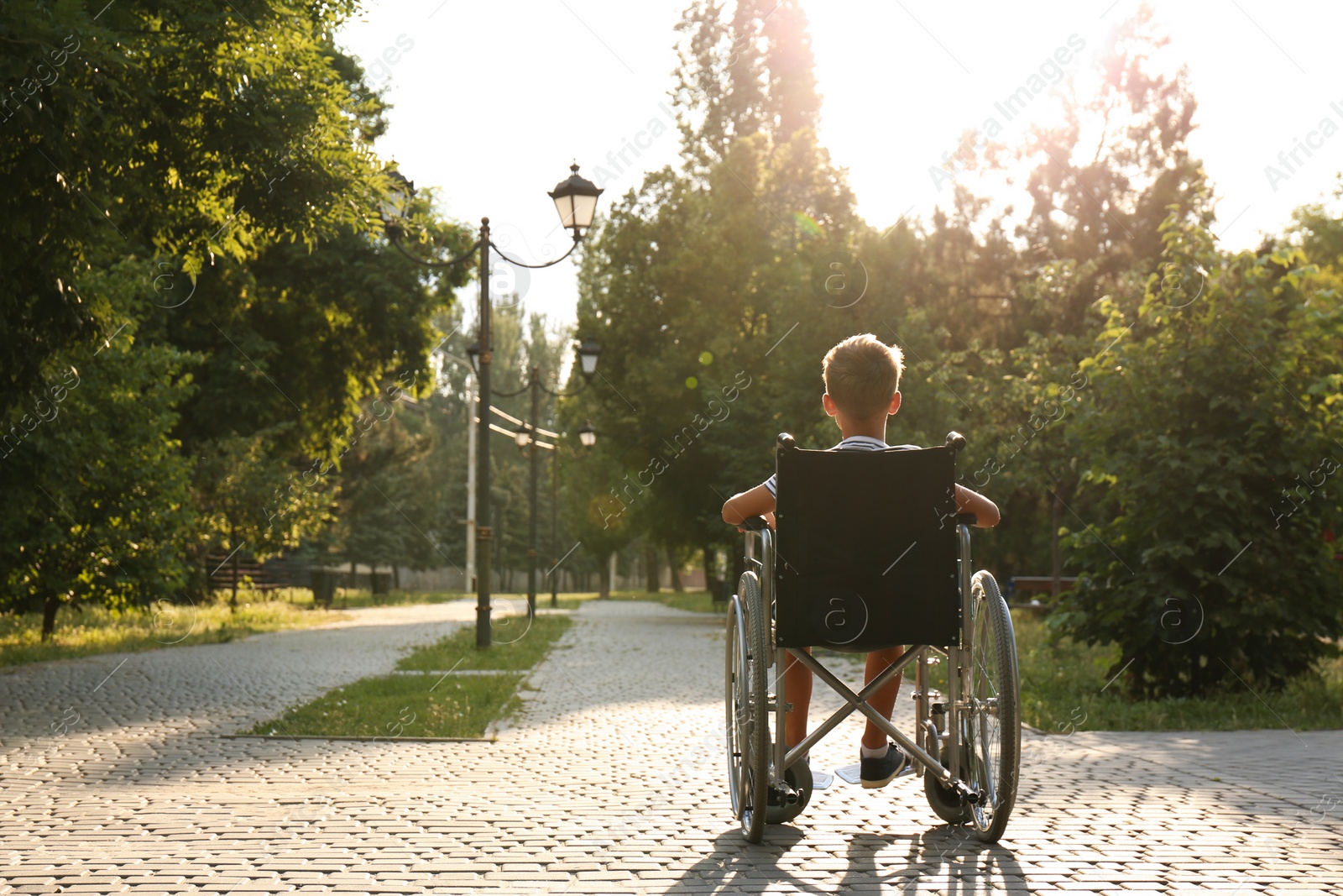 Photo of Little boy in wheelchair at park on sunny day. Space for text