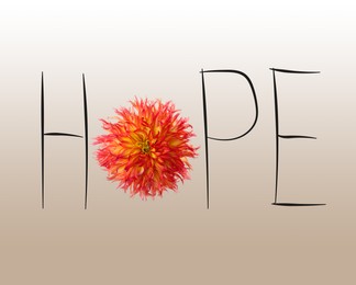 Word HOPE made with letters and beautiful dahlia flower on light background