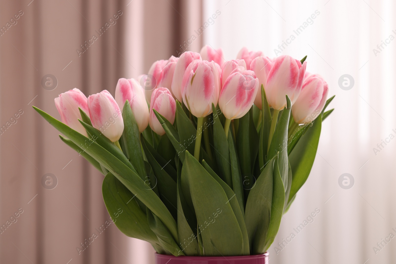 Photo of Beautiful bouquet of fresh pink tulips indoors