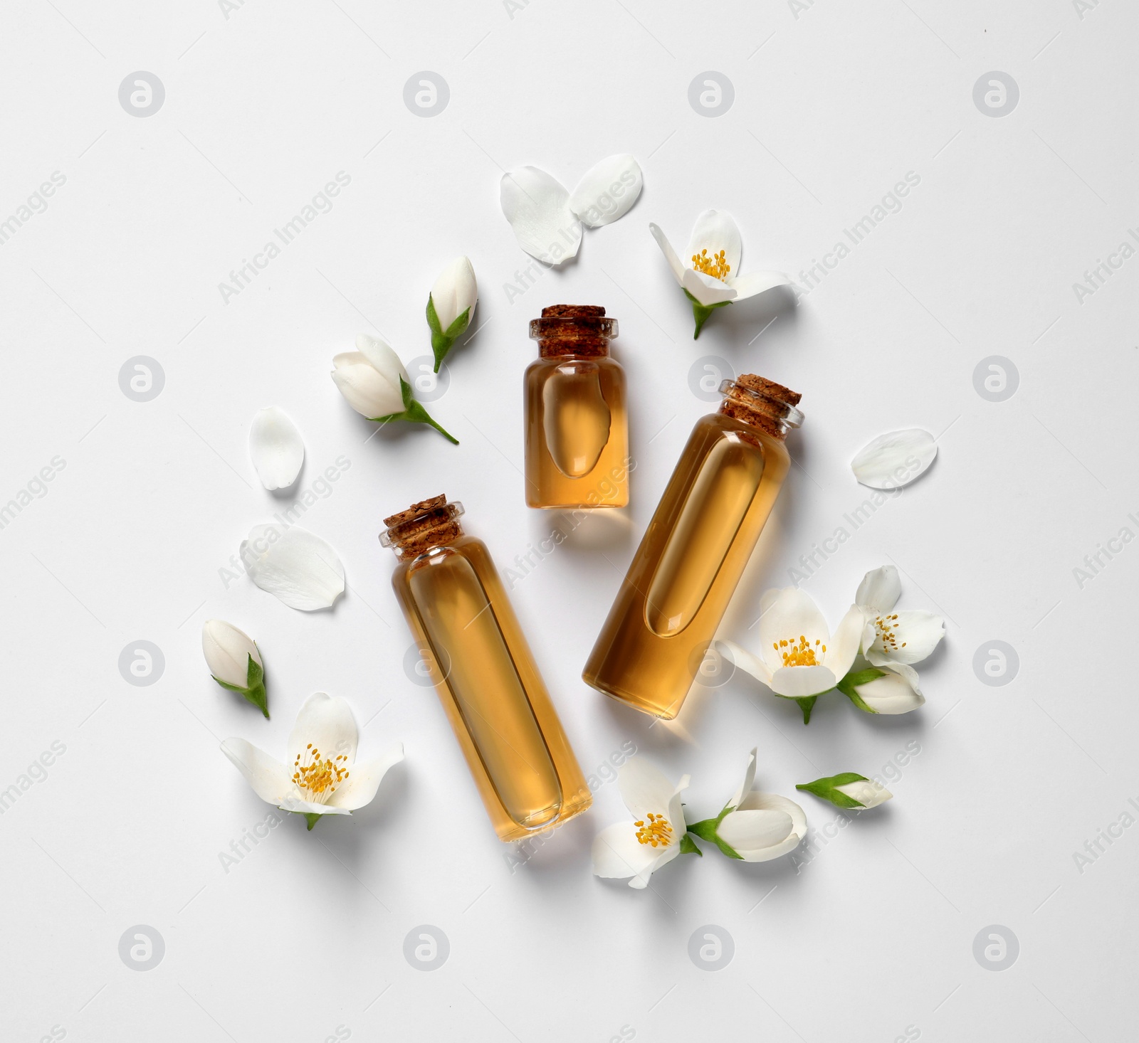 Photo of Jasmine essential and fresh flowers on white background, top view