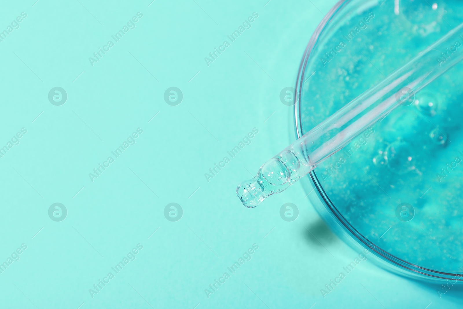 Photo of Petri dish with liquid sample and pipette on green background, top view. Space for text