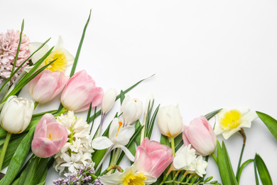 Photo of Beautiful spring flowers on white background, top view