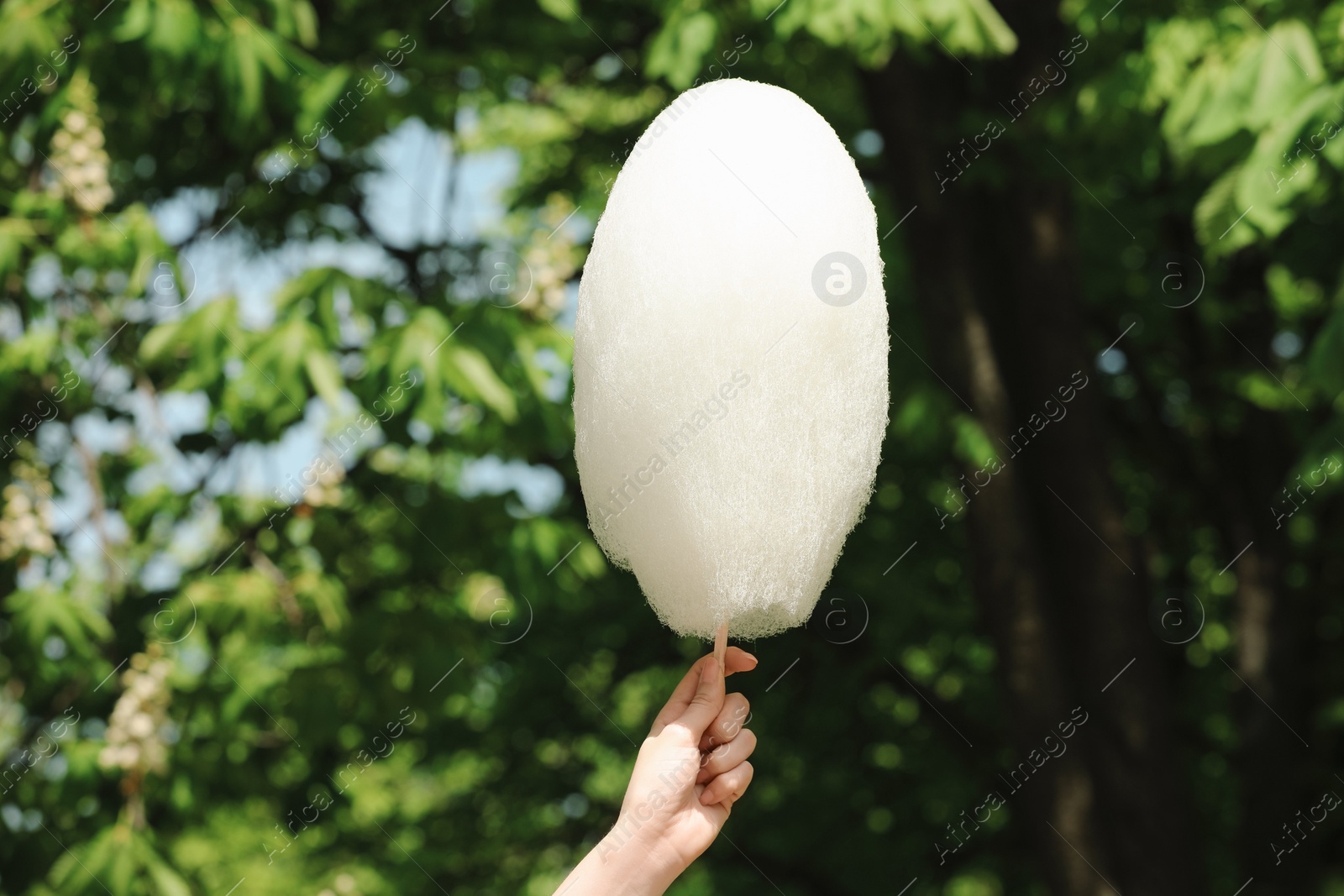 Photo of Woman holding sweet cotton candy outdoors, closeup