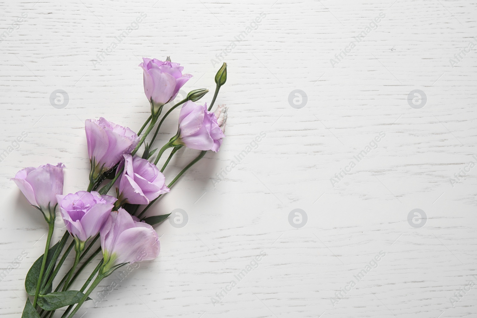 Photo of Beautiful Eustoma flowers on white wooden table, top view. Space for text