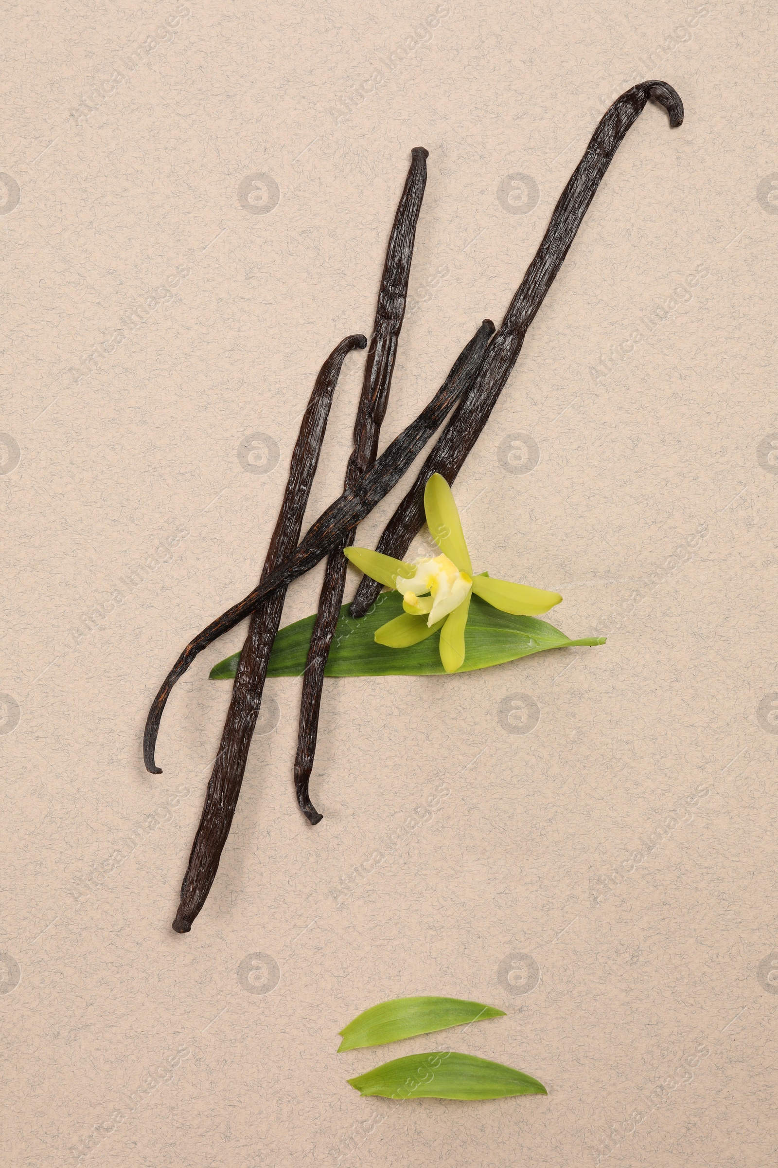 Photo of Vanilla pods, beautiful flower and green leaves on beige background, top view