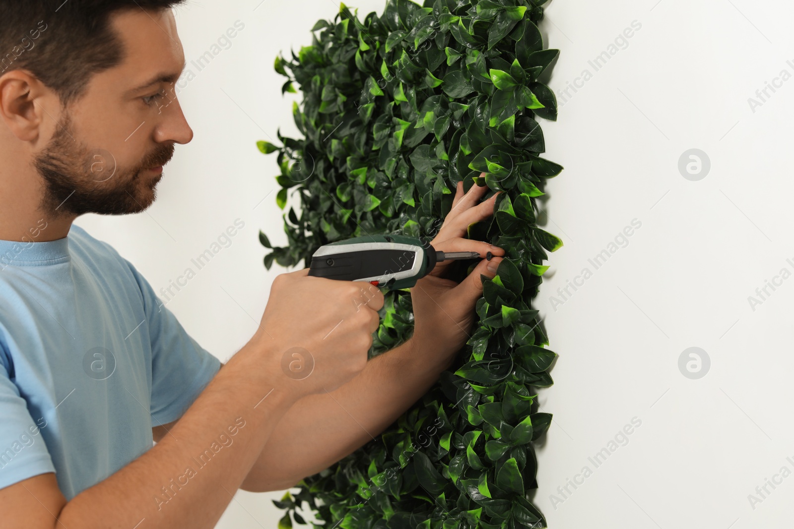 Photo of Man with screwdriver installing green artificial plant panel on white wall