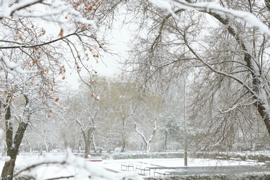 Photo of Beautiful view of city park covered with snow in winter