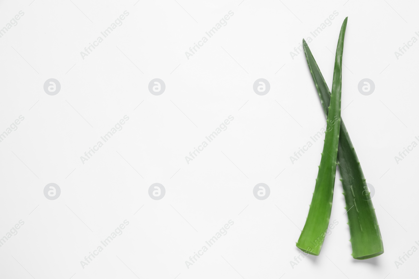 Photo of Fresh aloe vera leaves on white background, top view. Space for text