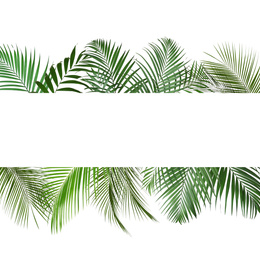 Frame made of beautiful lush tropical leaves on white background, top view. Space for text