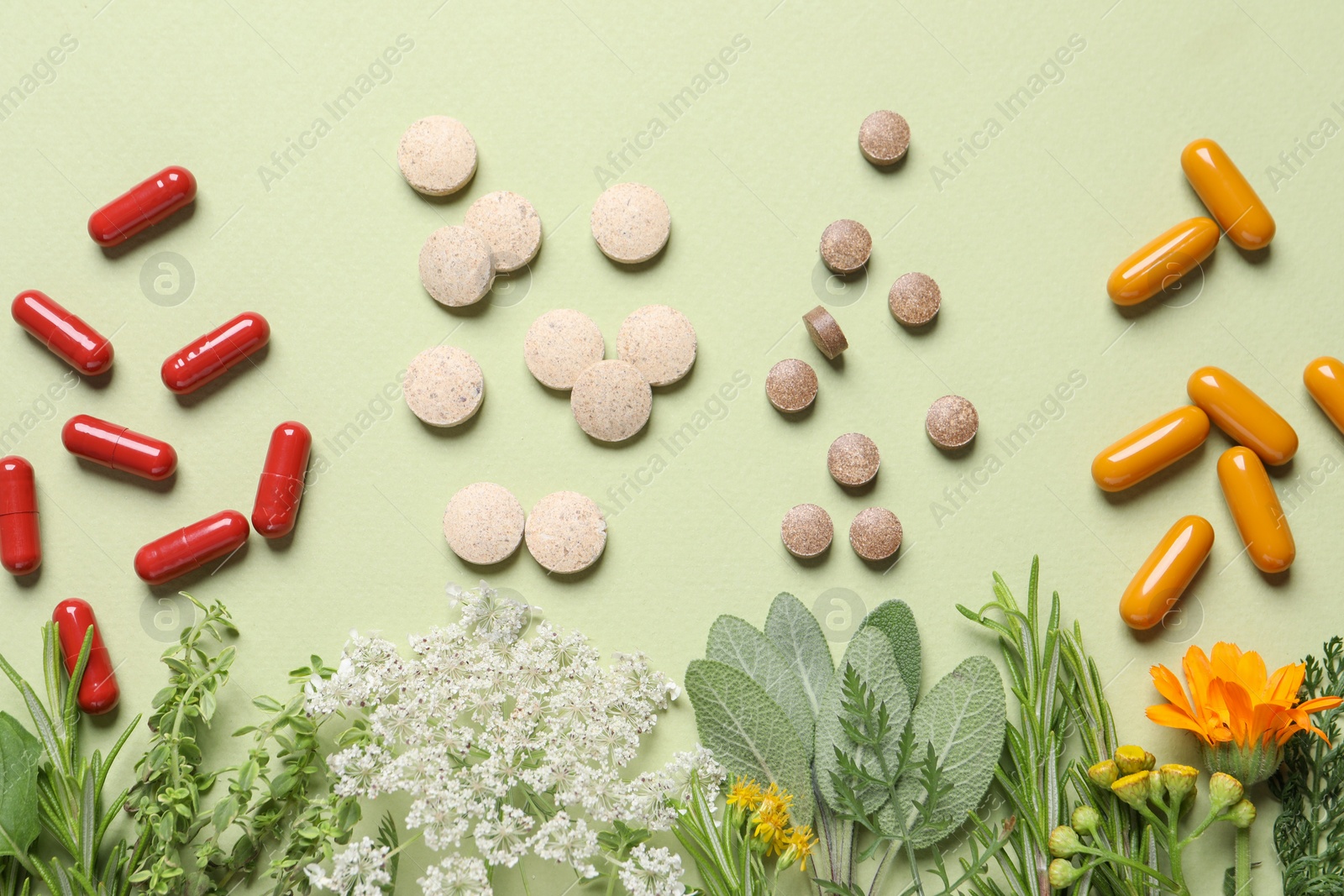 Photo of Different pills, herbs and flowers on light green background, flat lay. Dietary supplements