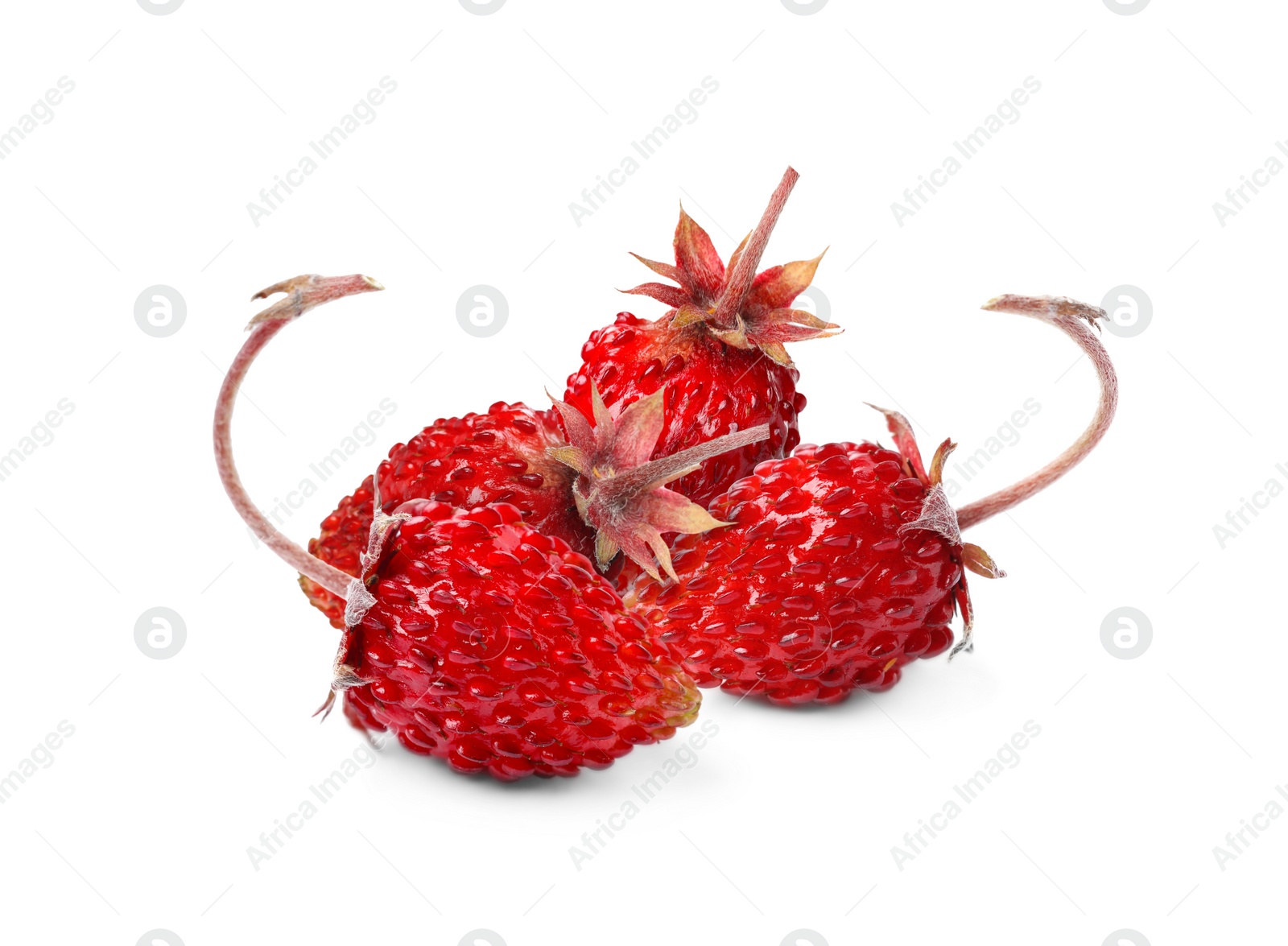 Image of Fresh ripe wild strawberries isolated on white