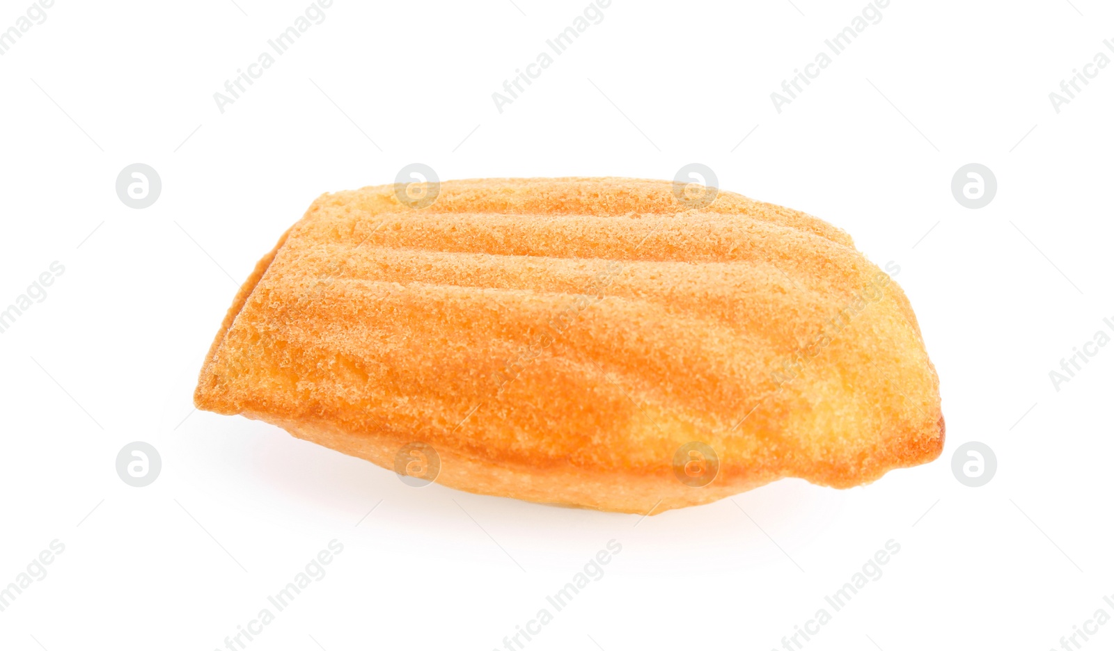 Photo of One delicious madeleine cake isolated on white