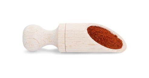 Photo of Scoop of aromatic paprika isolated on white