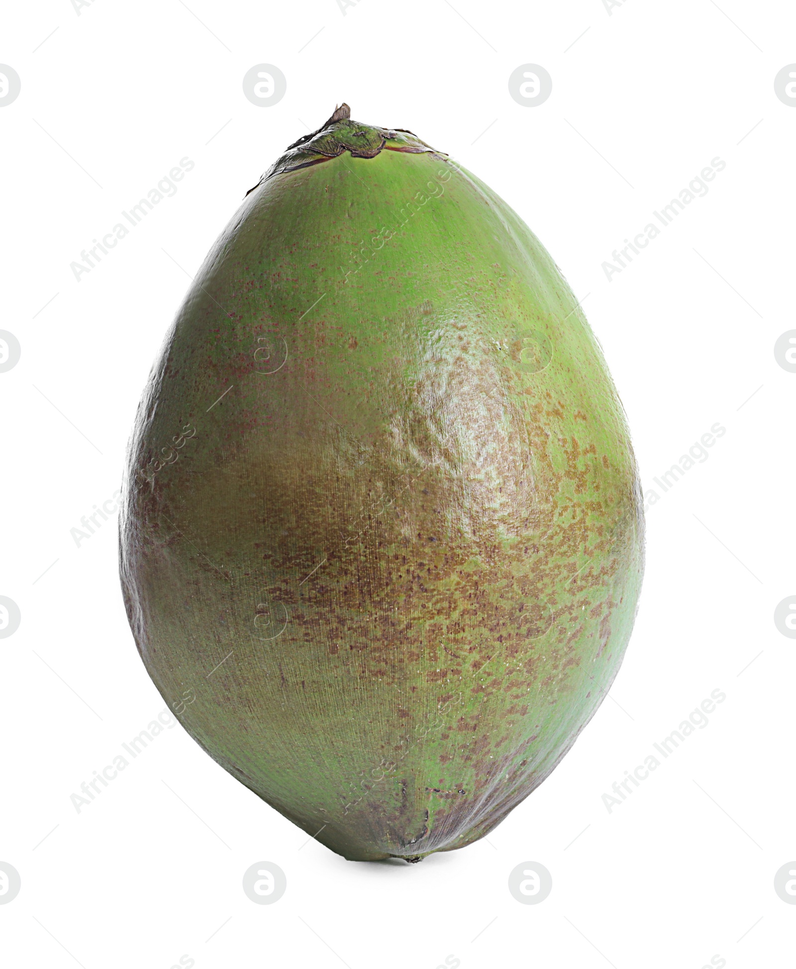 Photo of Fresh green coconut on white background