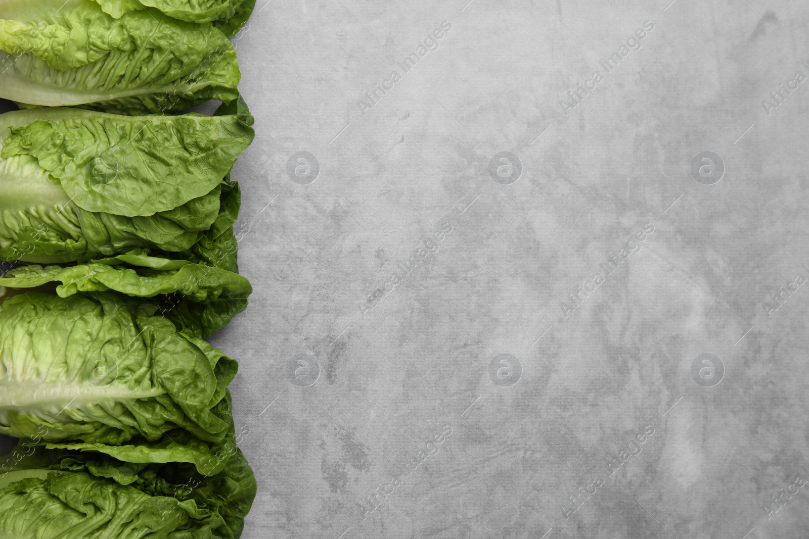 Photo of Fresh green romaine lettuces on light grey table, flat lay. Space for text