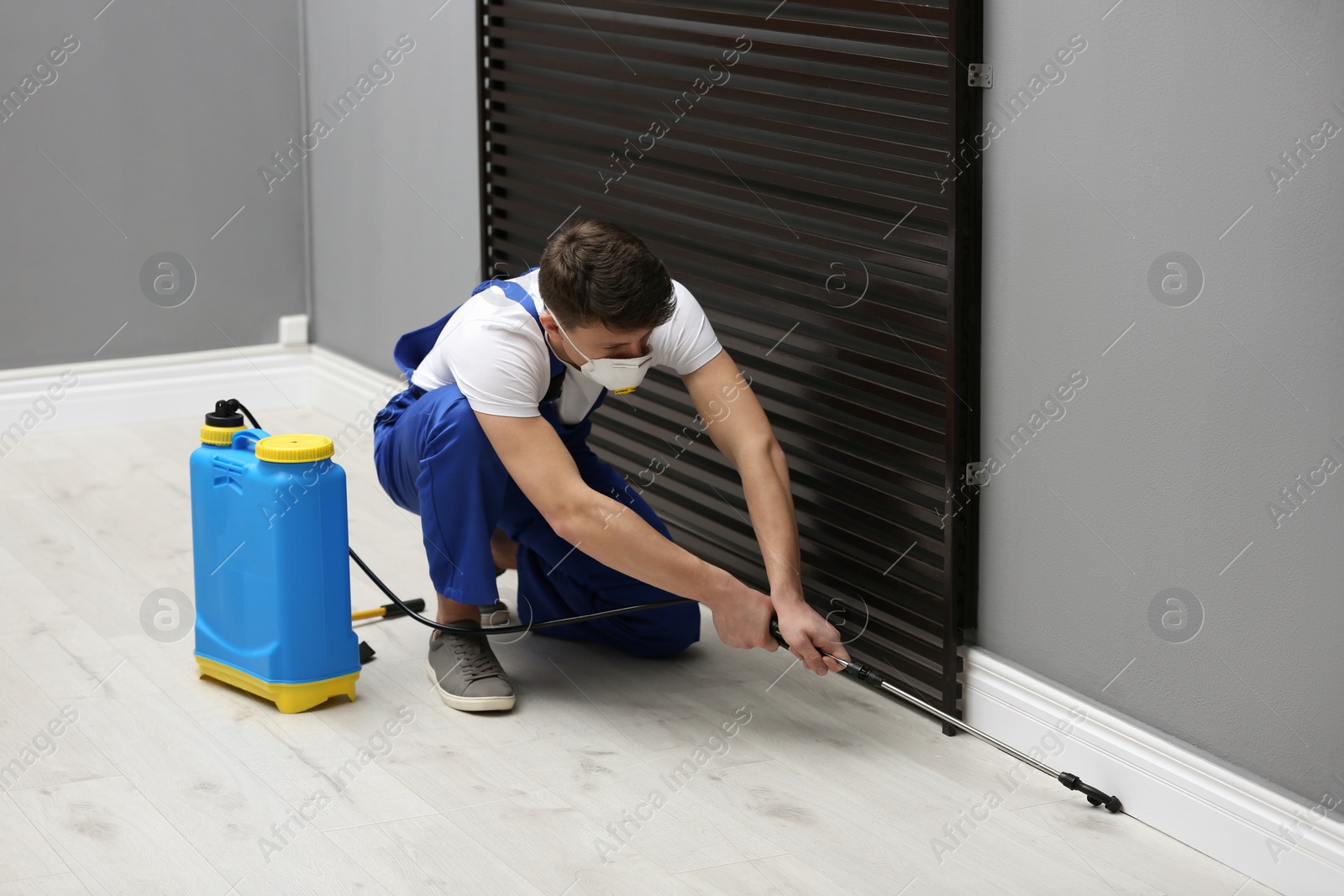Photo of Pest control worker spraying pesticide in room