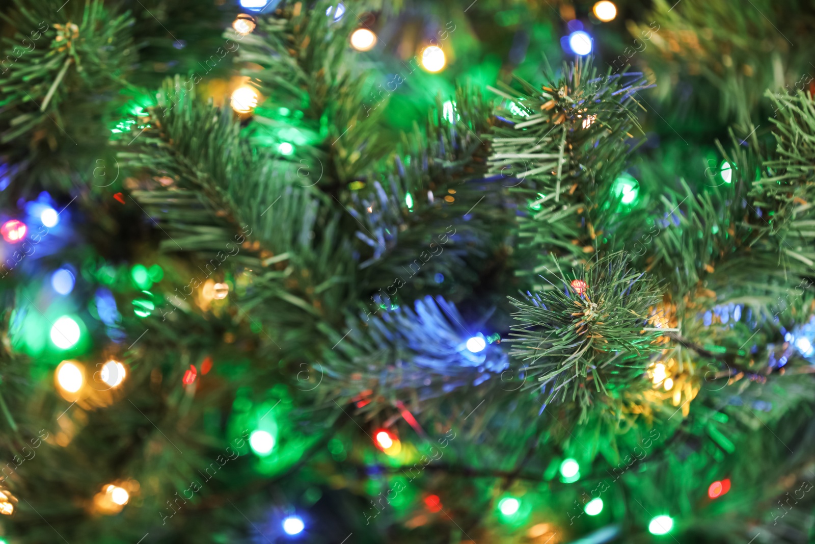 Photo of Christmas tree with bright string lights, closeup. Bokeh effect