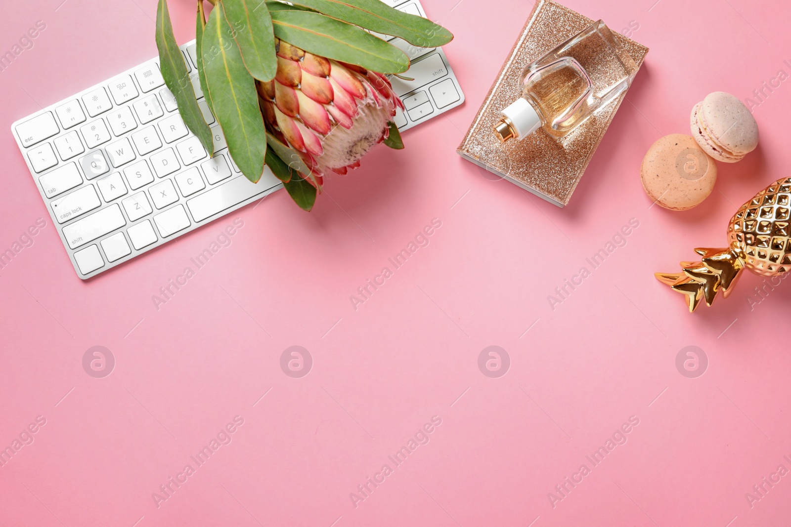 Photo of Creative flat lay composition with tropical flower, computer keyboard and macaroons on color background