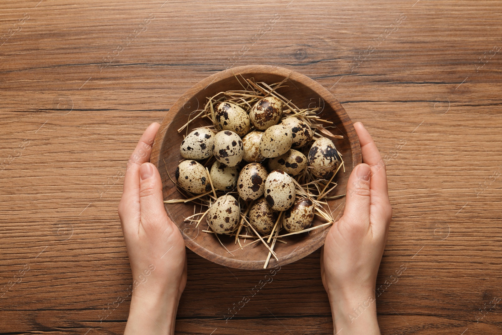 Photo of Woman holding bowl of quail eggs at wooden table, top view