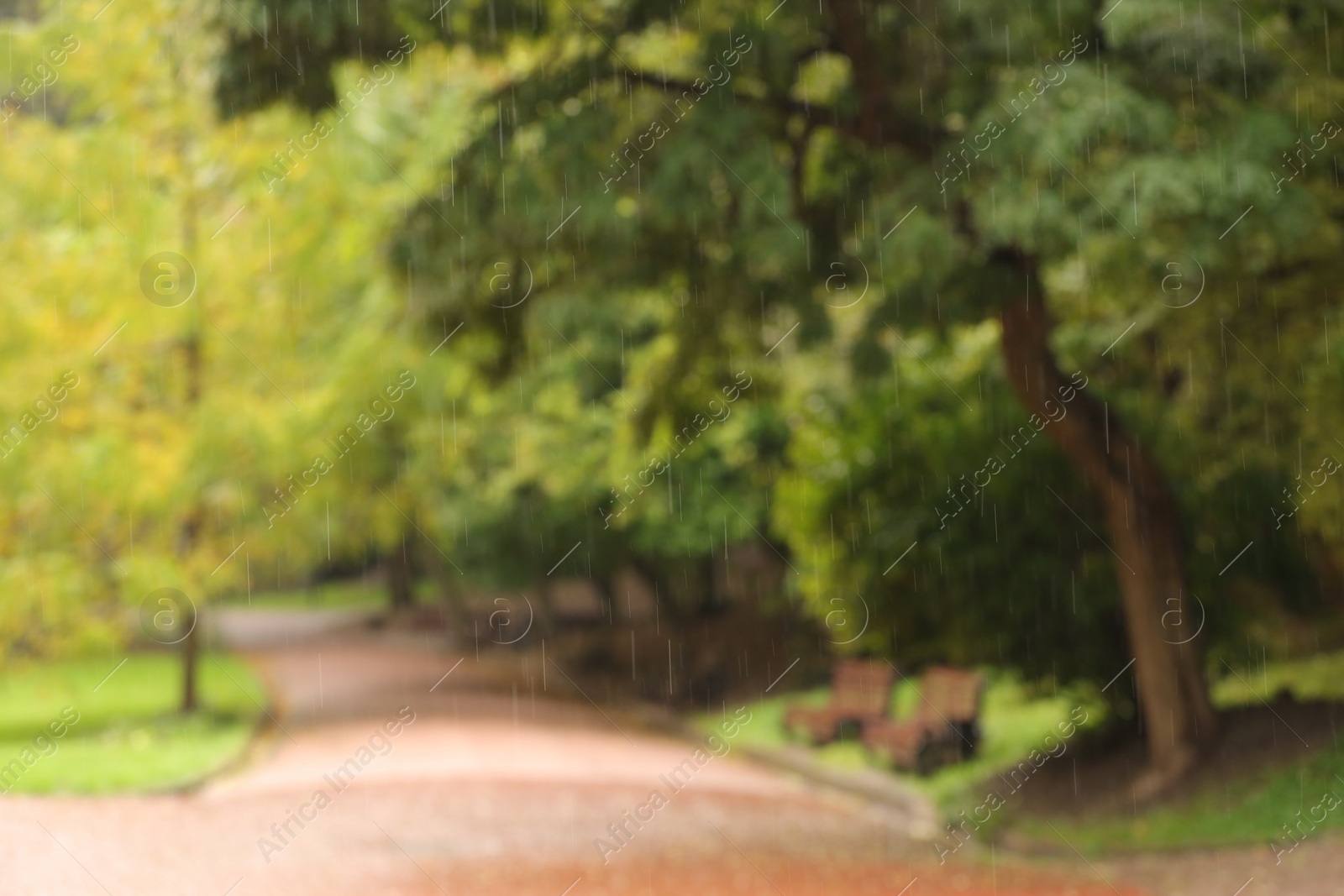 Photo of Blurred view of pathway in autumn park on rainy day