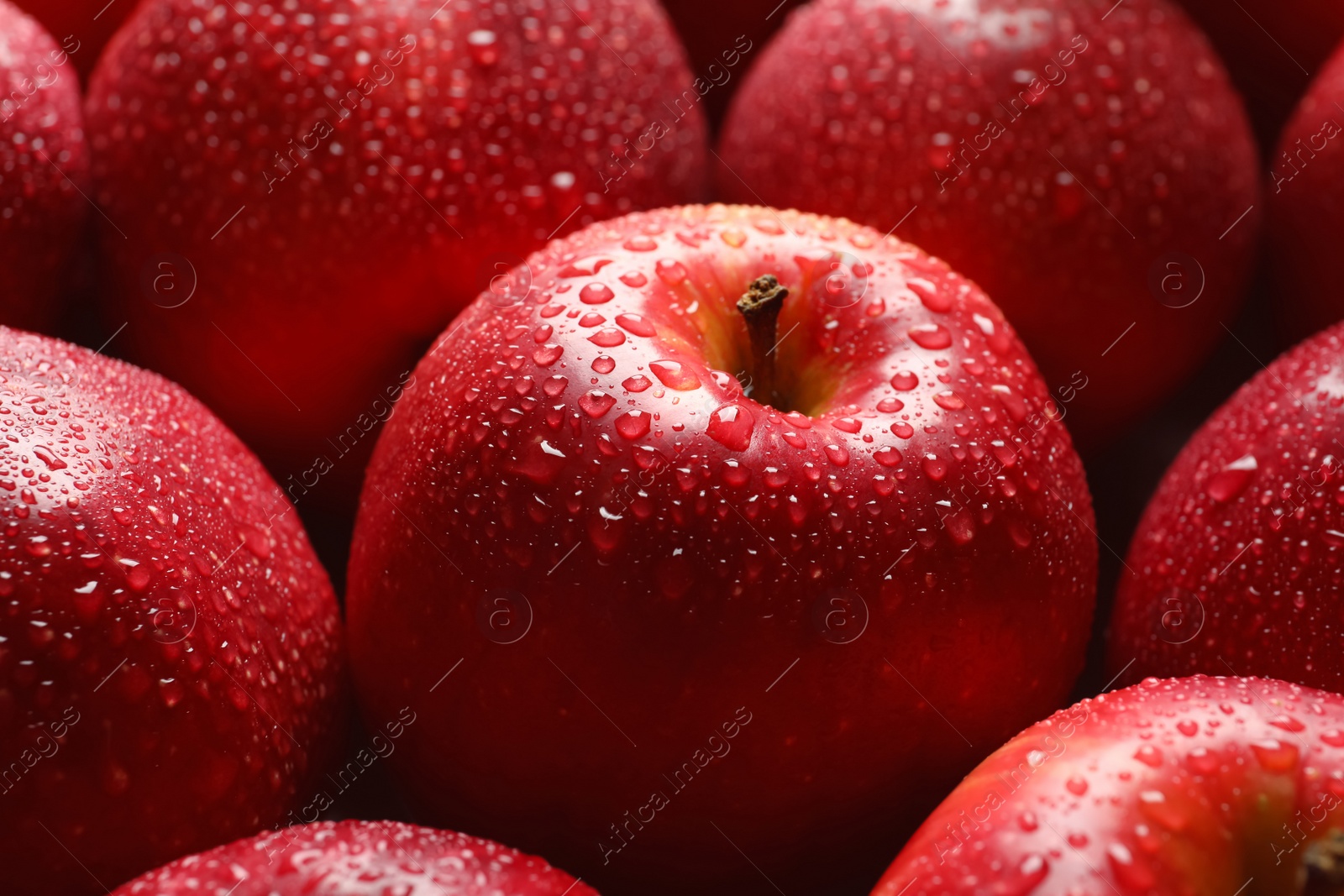 Photo of Fresh red apples with drops of water, closeup