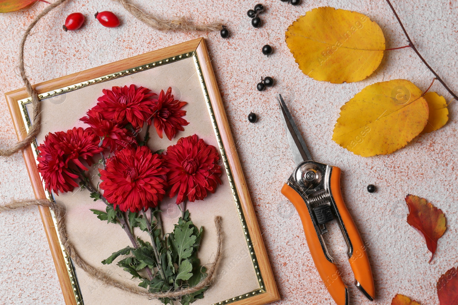 Photo of Flat lay composition with secateurs, twine and Chrysanthemum flowers on light textured table