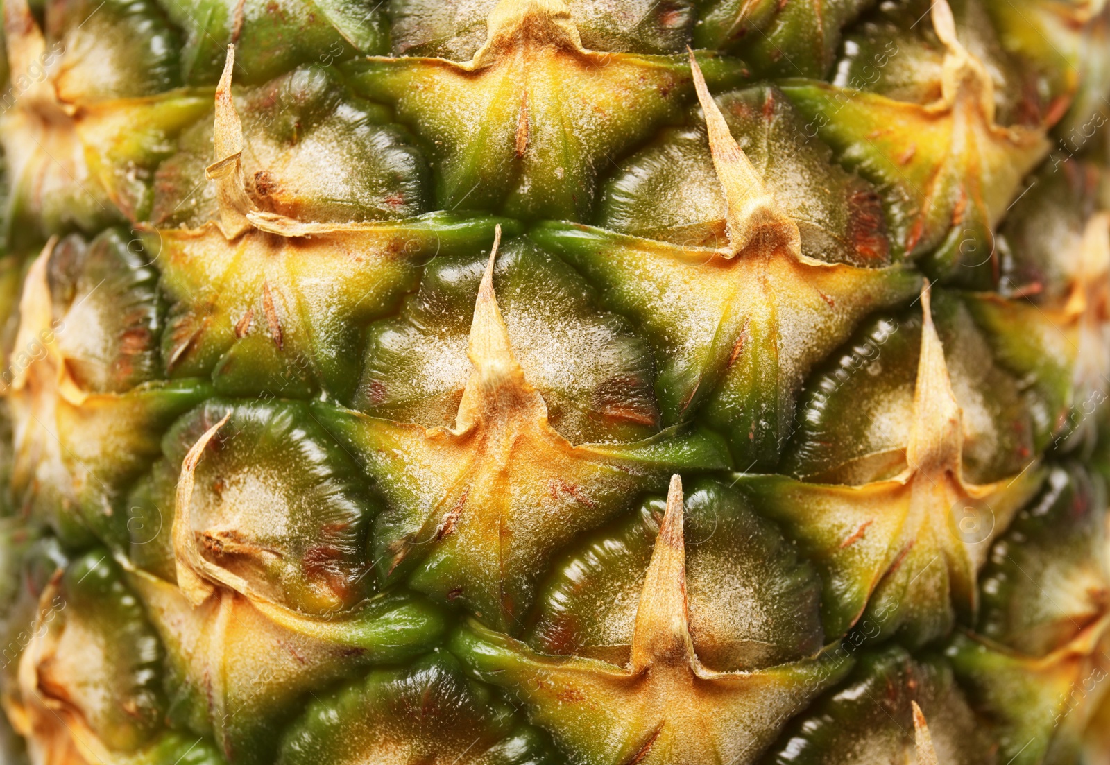 Photo of Fresh ripe juicy pineapple as background, closeup