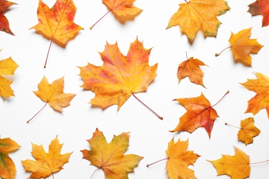 Photo of Flat lay composition with autumn leaves on white background