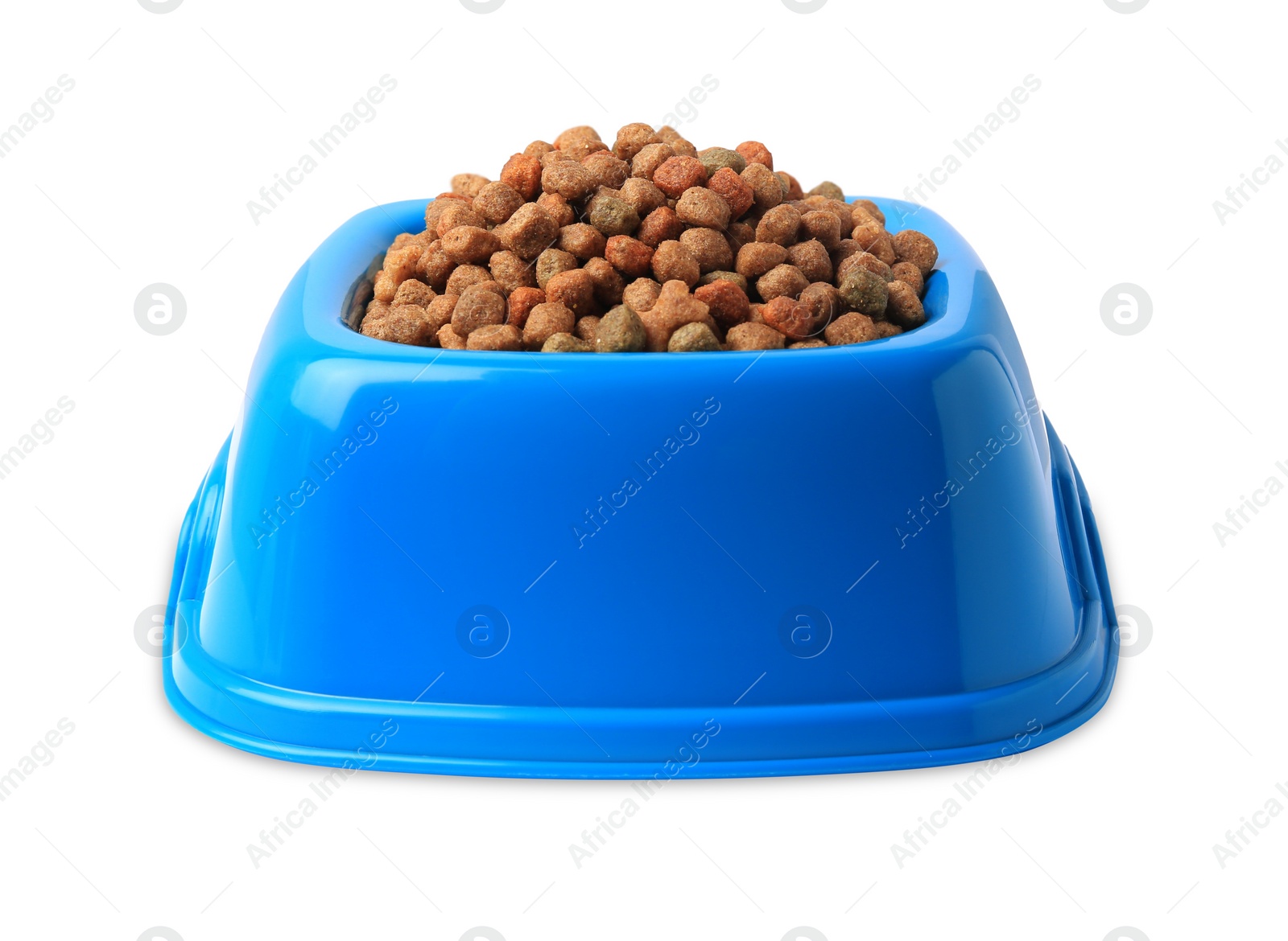 Photo of Dry pet food in feeding bowl on white background