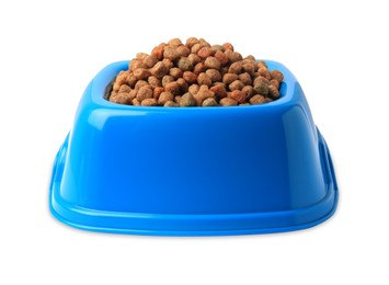 Dry pet food in feeding bowl on white background