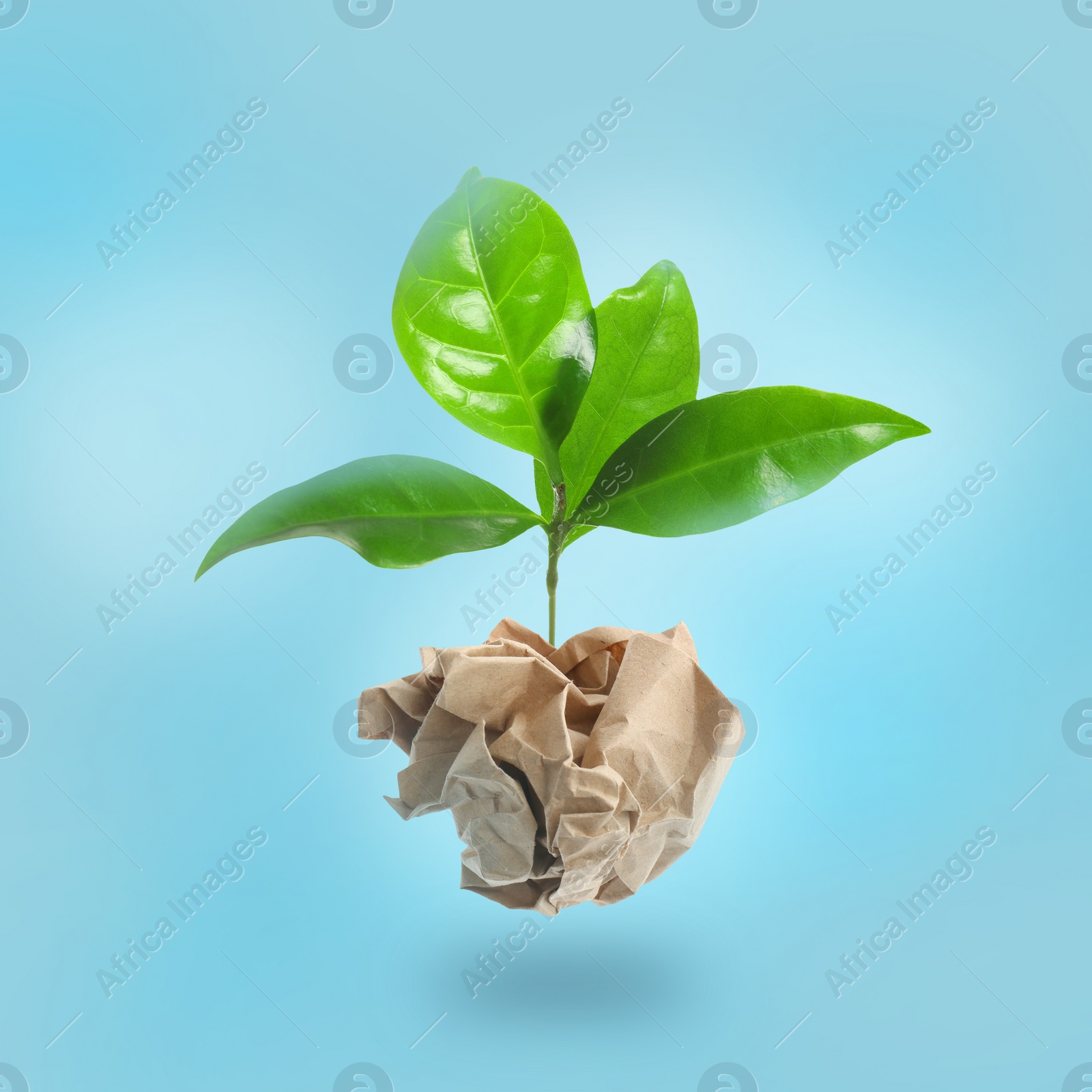 Image of Crumpled sheet of paper on twig with green leaves on light blue background. Recycling concept