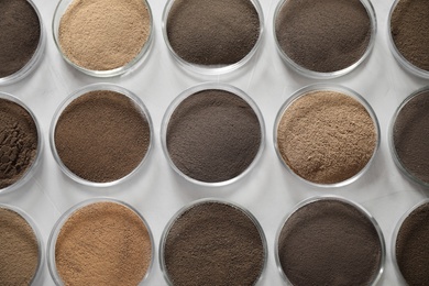 Photo of Petri dishes with soil samples on grey table, flat lay. Laboratory research