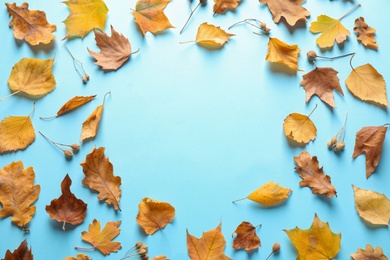 Flat lay composition with autumn leaves on light blue background. Space for text