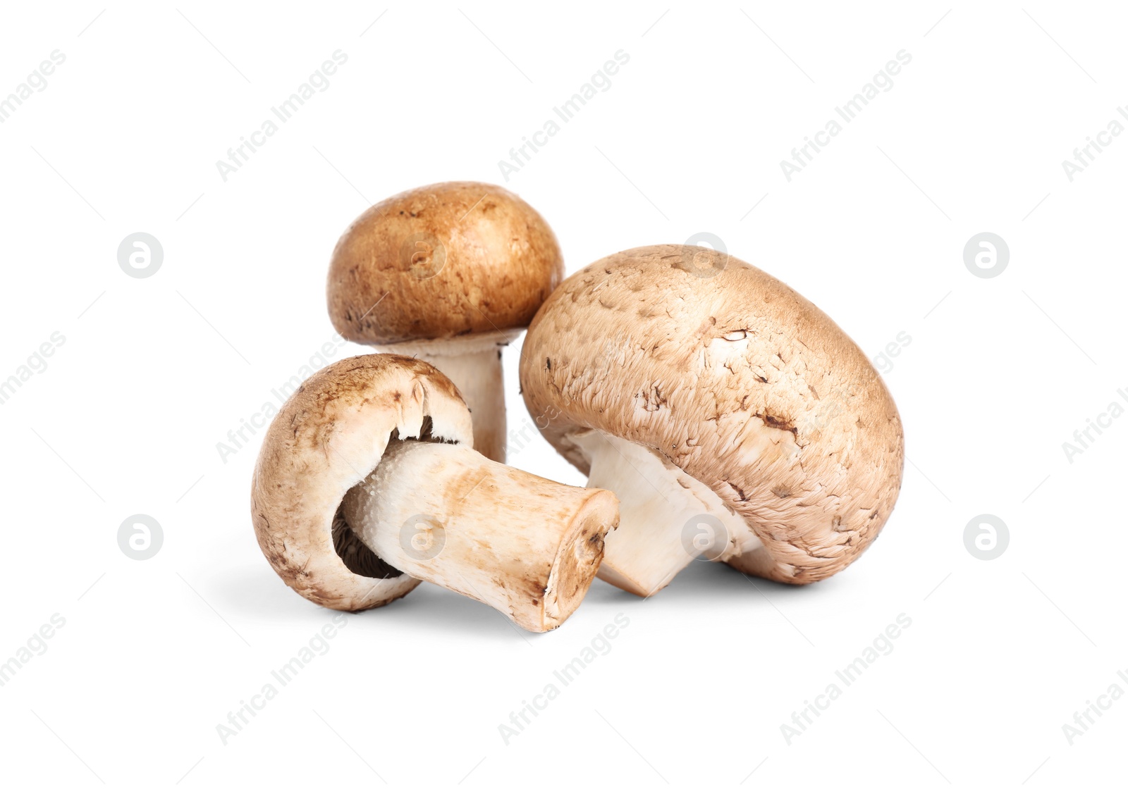 Photo of Fresh wild mushrooms on white background. Edible fungi