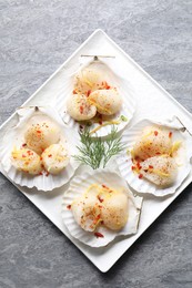 Photo of Raw scallops with spices, dill, lemon zest and shells on grey marble table, top view