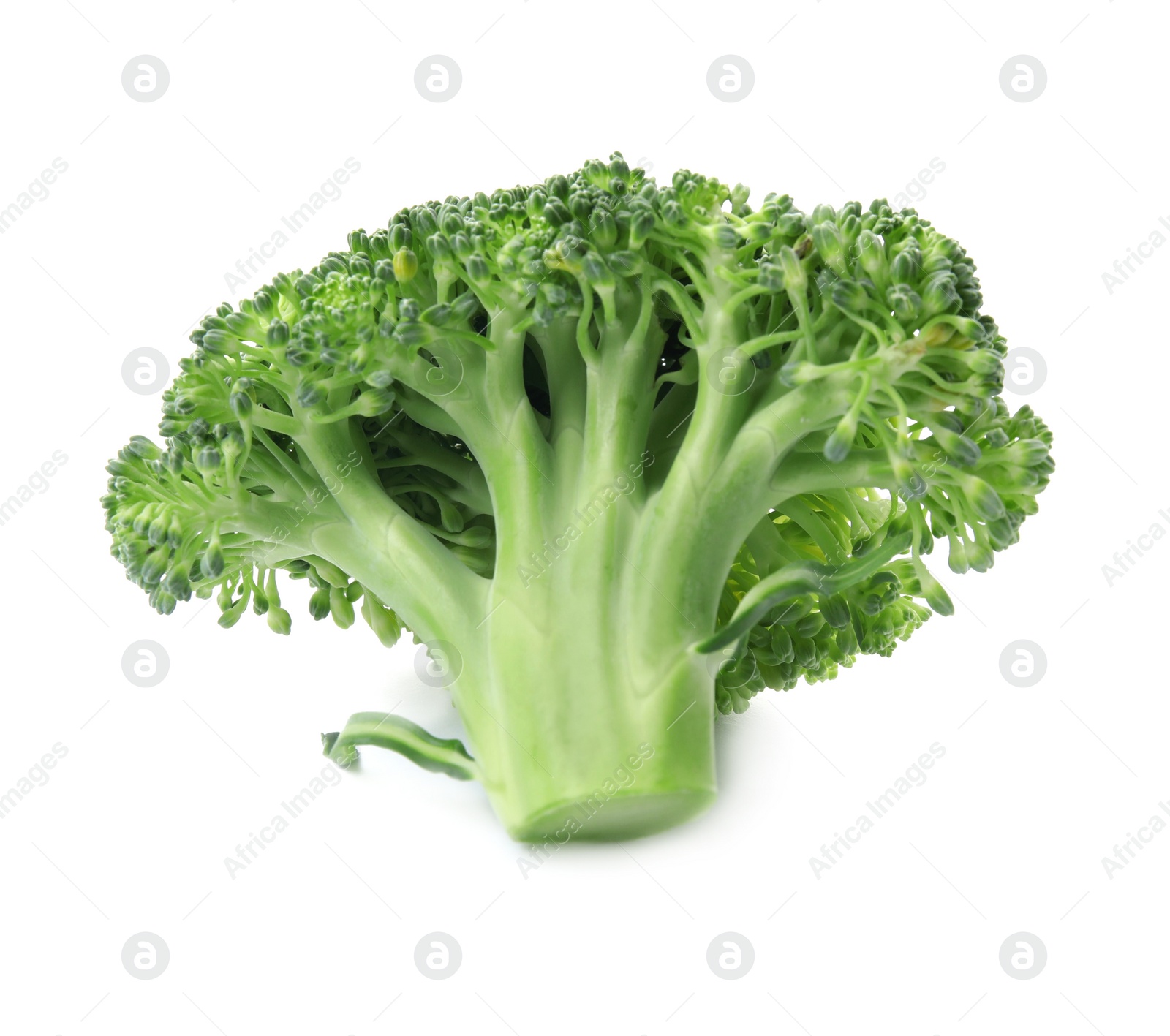 Photo of Fresh broccoli isolated on white. Edible green plant